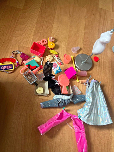Rainbow high doll accessories